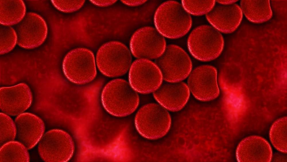 What is a Blood Clot?