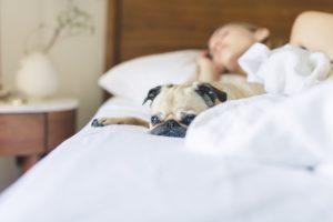The Benefits of Napping
